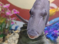 -烟台海昌鲸鲨海洋公园