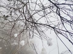 -九峰山