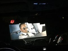 -枫花园汽车电影院(朝阳公园店)