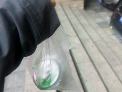 -萌萌牛紫米露(烟台大学店)