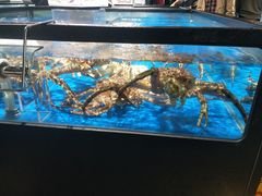 -盒马鲜生(馥邦国际店)