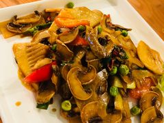 -猫小院猫主题餐厅(三里屯店)