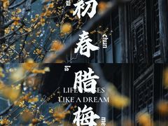 -颐和园