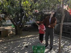 -韩士良采摘园