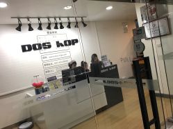 -DOS HOP潮上舞蹈