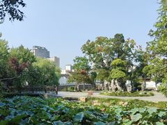 -水绘园