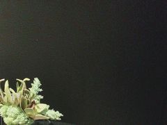-必胜客(沈辽路万达店)
