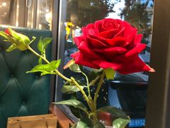 -船家渔(徐州北路店)