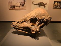 -自贡恐龙博物馆