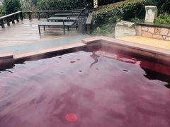 -天目湖涵田半山温泉