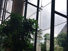 -松山湖凯悦酒店·Café自助餐厅·周末火舞秀表演
