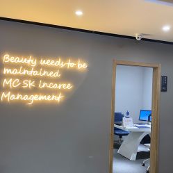 -MC皮肤管理中心