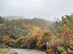-四明山国家森林公园
