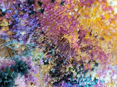 -玺尊龙·云岭四季(西南店)