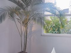 -洪小鹏生活美学馆(领SHOW天地店)