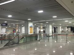 -杨高南路(地铁站)