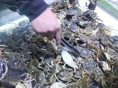 -聚盛源蒸汽海鲜火锅烤肉自助(巨川金海岸购物广场店)
