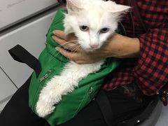 -达爱动物医院·犬猫分区·CT·复杂眼科(远洋山水分院)