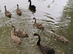 -长兴太湖图影湿地文化园