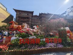 -越秀西湖花市(广州城市广场花卉店)