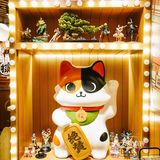 荣登必吃榜！宁波火到魔都的“动漫日料店”——稻探食堂！