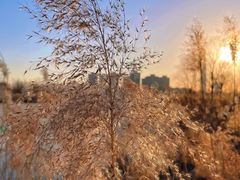 -水西公园