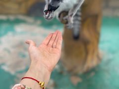 -南京汤山紫清湖生态旅游温泉度假区
