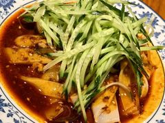 -柴窝堡22号辣子鸡·传承新疆菜