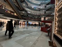 -港汇恒隆广场