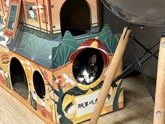 -派特宠物医院(圆融广场店)