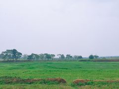 -盘龙城国家考古遗址公园