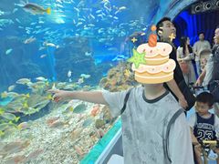 -海合安武汉极地海洋公园