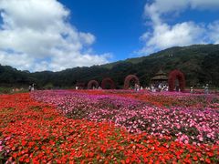 -广州市石门国家森林公园