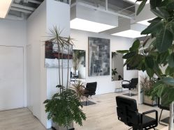 -Hair  Gallery