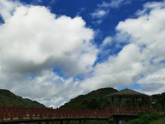 -广州市石门国家森林公园