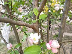 -元大都城垣遗址公园