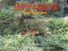 -杭州动物园