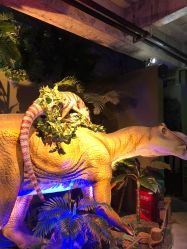 -恐龙探索乐园(磁器口店)