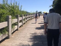 -北岐滩涂