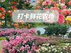 -栖露营camping·天幕烧烤·团建拓展·采摘营地
