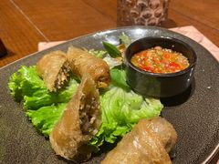 脆炸春卷-CHINCHIN 青青·泰国料理(万象食家店)