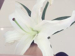 -上海市宝兴殡仪馆