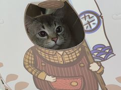 -袖虎宠物·金渐层缅因猫舍(灵芝店)