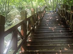 -北京凤凰岭