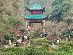 -岳麓山风景名胜区