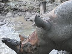 -哈尔滨北方森林动物园