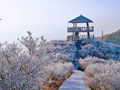 -大围山国家森林公园