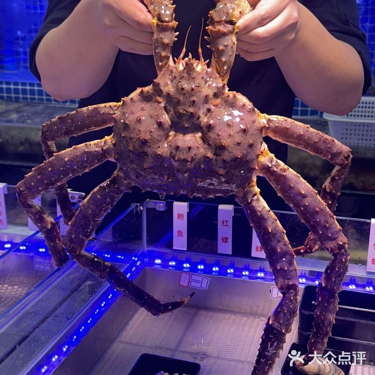香港闺蜜来深直奔这里吃海鲜🦞性价比简直了！