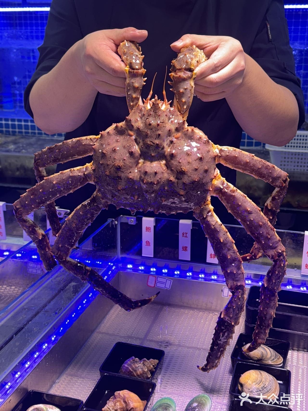 香港闺蜜来深直奔这里吃海鲜🦞性价比简直了！