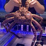 香港闺蜜来深直奔这里吃海鲜🦞性价比简直了！